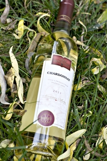 Chardonnay 2011
