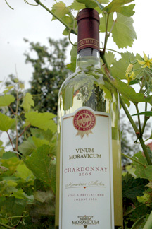 Chardonnay 2008
