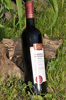 Cabernet Sauvignon 2008 Oak aged